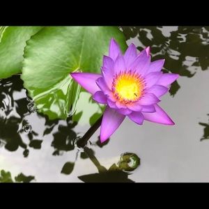 Meet your Posher, Ben